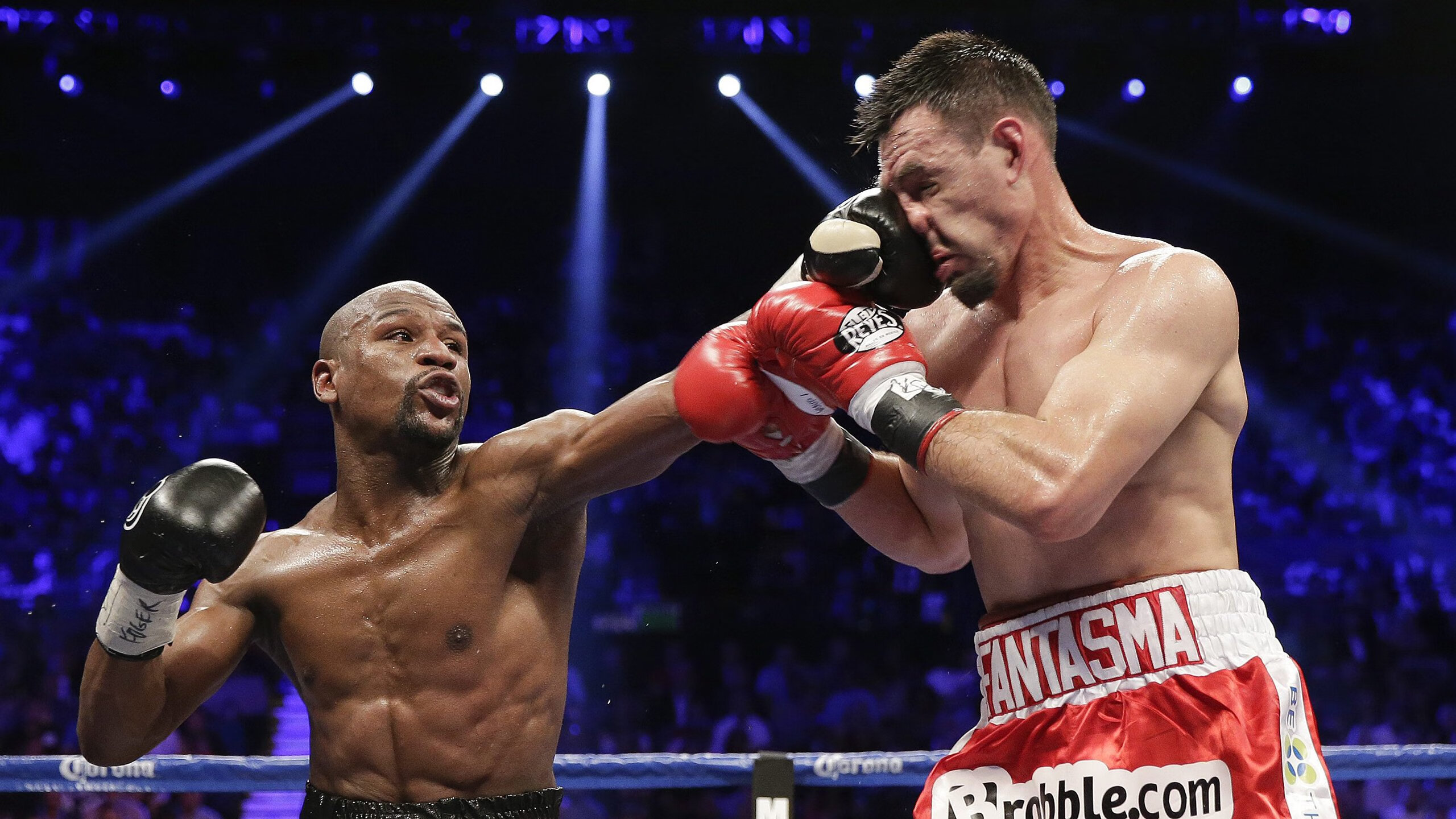 西亚卡姆打出统治级数据，国王力克篮网，当沉默的利刃划破布鲁克林的夜空