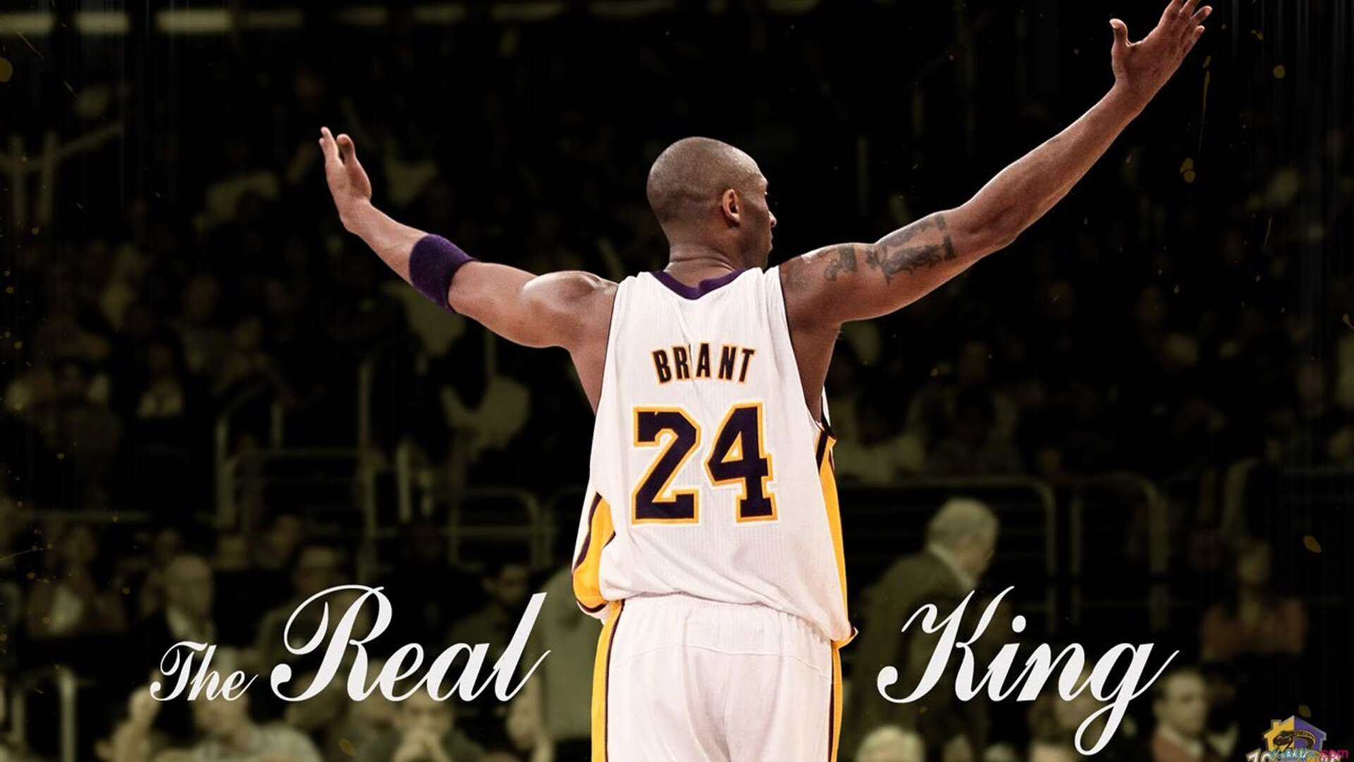 F1新赛季揭幕战之夜,塔图姆数据全面爆炸,当赛道轰鸣遇见球场咆哮